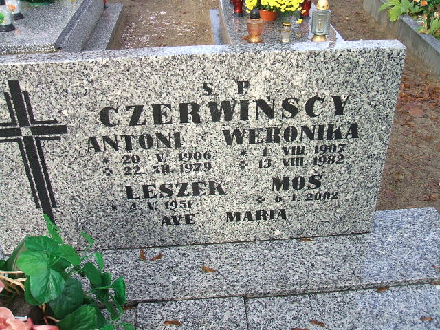 Antoni Czerwiński 1906 Namysłów - Grobonet - Wyszukiwarka osób pochowanych