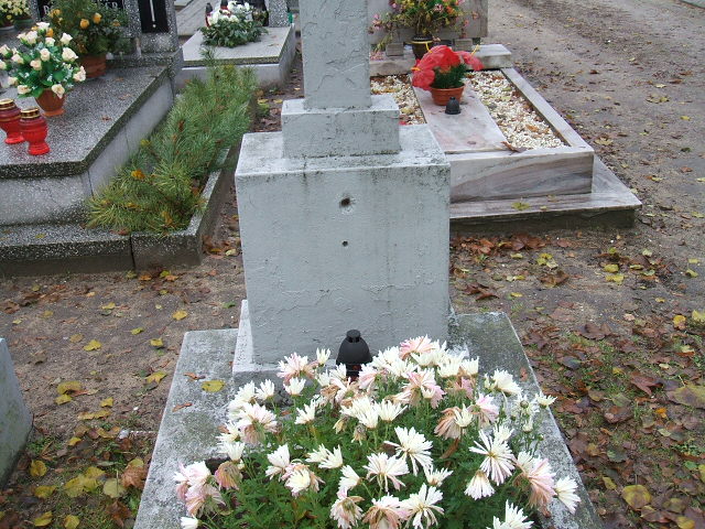 Adam Hnat 1959 Namysłów - Grobonet - Wyszukiwarka osób pochowanych