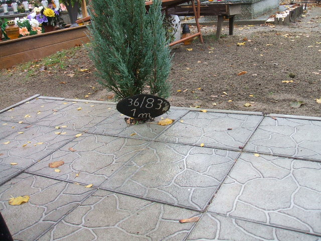 Krystyna Czarnecka 1949 Namysłów - Grobonet - Wyszukiwarka osób pochowanych