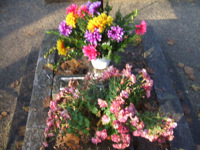 Maria Lubuska 1893 Namysłów - Grobonet - Wyszukiwarka osób pochowanych