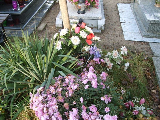 Zdzisław Drewniak 1949 Namysłów - Grobonet - Wyszukiwarka osób pochowanych