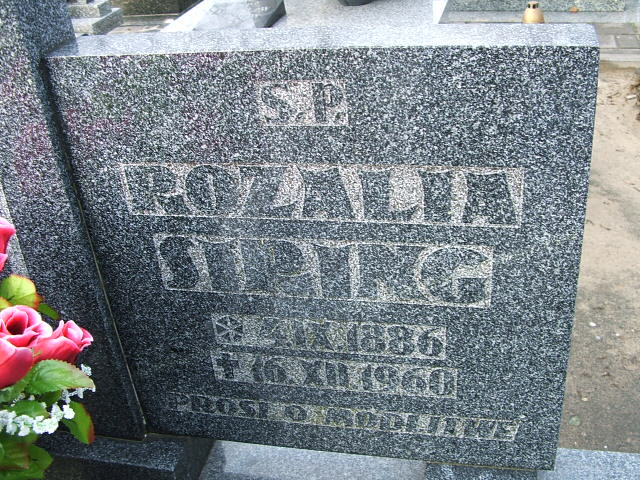 Rozalia Siring 1880 Namysłów - Grobonet - Wyszukiwarka osób pochowanych