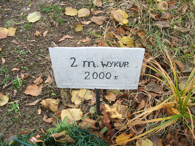 Grób Jarosława Dargiewicz