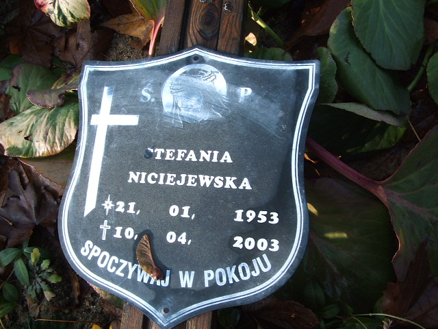 Stefania Niciejewska 1953 Namysłów - Grobonet - Wyszukiwarka osób pochowanych