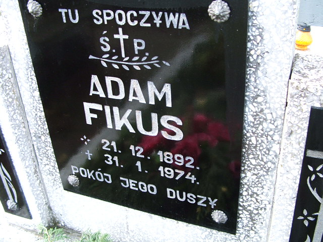 Grób Adam Fikus