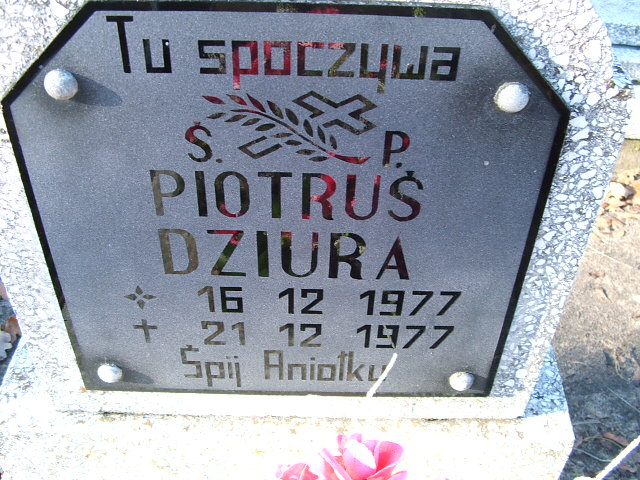 Piotr Dziura 1977 Namysłów - Grobonet - Wyszukiwarka osób pochowanych