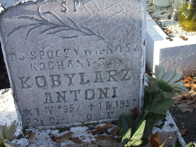 Antoni Kobylarz 1957 Namysłów - Grobonet - Wyszukiwarka osób pochowanych