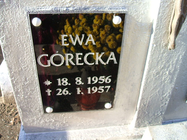 Zenon Górecki 1955 Namysłów - Grobonet - Wyszukiwarka osób pochowanych