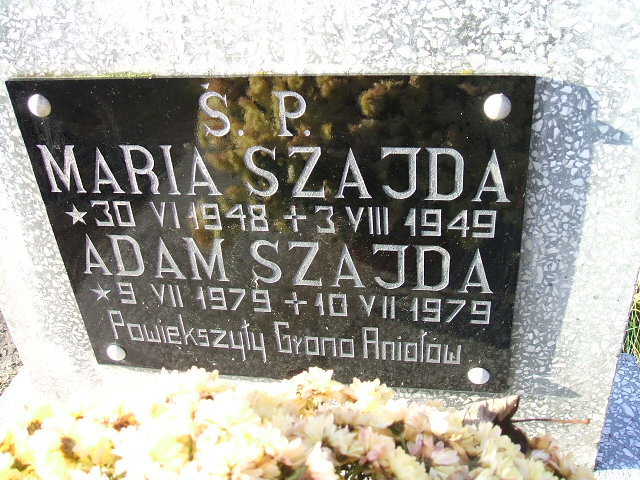 Grób Maria Szajda