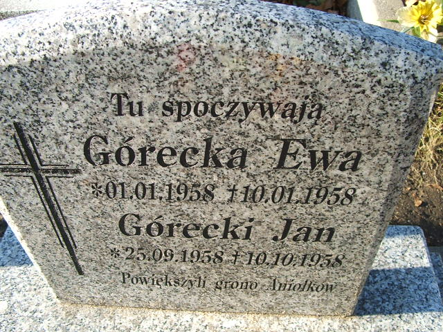 Ewa Górecka 1958 Namysłów - Grobonet - Wyszukiwarka osób pochowanych