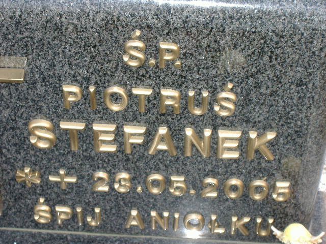 Paweł STEFANEK 2005 Namysłów - Grobonet - Wyszukiwarka osób pochowanych