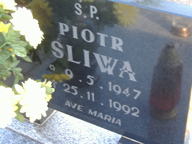 Grób MARIA FILUS